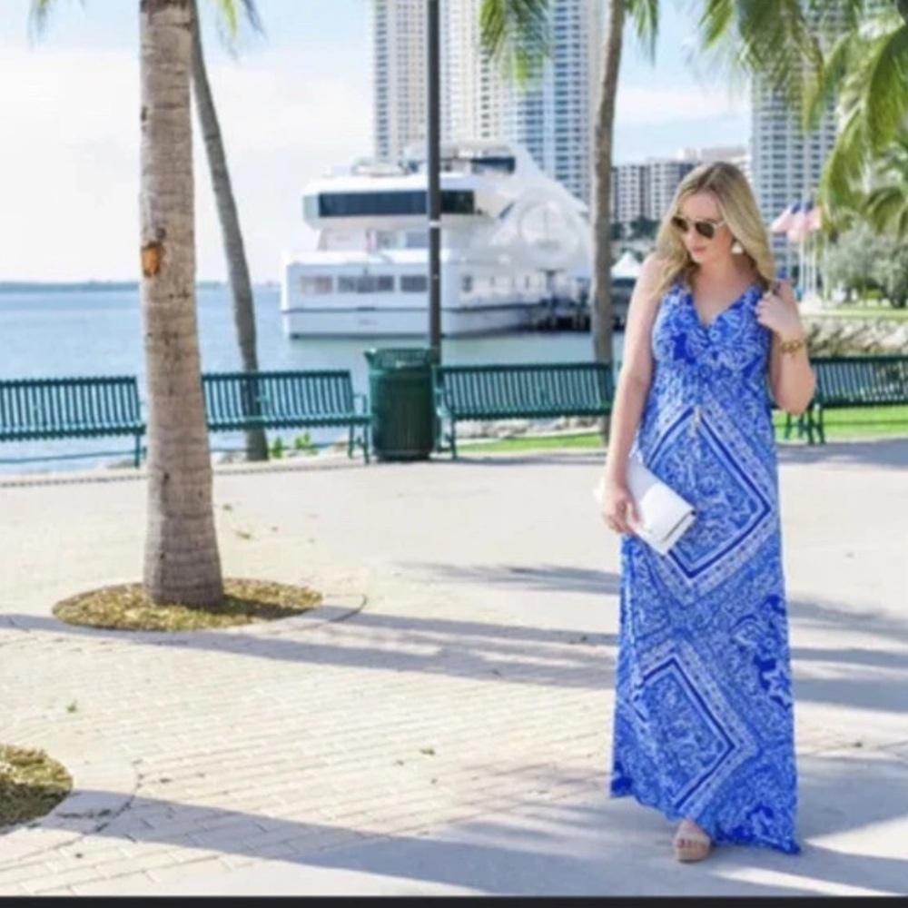 Lilly Pulitzer Tang Flocking Fabulous Serena Maxi Dress M - Picture 4 of 8